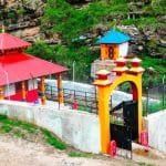 जङ्गली जनावरले मकै बाली सखापः किसान चिन्तित