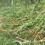 बाँकेमा बस दुर्घटना: २ जनाको मृत्यु, २७ जना घाइते