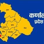 पहिरोको जोखिममा थापापाखा, सात परिवार विस्थापित