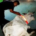 सुर्खेतका कर्मचारीका आँखा स्यानिटरी प्याडमा, असार मसान्तमा खरिद गर्ने होडबाजी