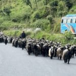 दसैंतिहारमा दुर्घटना कम गर्नः नागरिक सहायता कक्ष