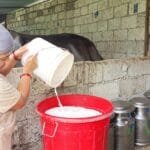 सिंजा साम्राज्यको मध्ययुगबाट सुरु भएको थियो कर्णालीमा दशैँँ