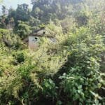 चारवटा भैँसी भए पशुघर निर्माणमा अनुदान पाइने