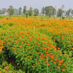 सम्पादकीय : खर्चको दायरा बढाऊँ