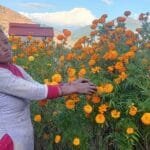 व्यापार घाटाले बन्द हुँदैछन् साना उद्योग