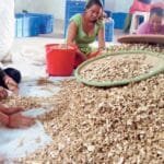 अरिङ्गालको टोकाईबाट घाइते एकको मृत्यु