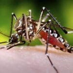 कञ्चनपुरमा दम्पती हत्याः दुई दर्जन बढीसँग सोधपुछ, ‘सीडीआर’ मार्फत पनि अनुसन्धान