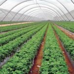 चिकित्सा शिक्षा पढ्न सघाउँदै कर्णाली प्रदेश सरकार