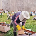 लैंगिक समानताका लागि व्यवहार परिवर्तन गर्न आवश्यक