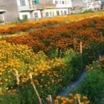 महिला तथा बालबालिका बेचबिखनको जोखिममा