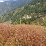 प्रदेश सरकारको प्राथमिकतामा गौरवका आयोजना