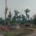 ‘ड्रयागन फ्रुट’ खेतीमा रमाएका राना