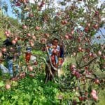 सम्पादकीय : सडक सुरक्षामा हस्तक्षेप गर्ने बेला भएन र ?