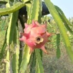 ‘योजना निर्माण र कार्यान्वयनमा स्वार्थपूर्ण निर्णय र अन्यायपूर्ण कार्यले स्थान पाउने छैन’