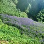 शवदाह गृहका लागि ग्लोबल आइएमई बैंकद्वारा २० लाख सहयोग