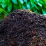 ज्ञानेन्द्र मल्लको दाबी – एनपीएल कर्णाली याक्सले जित्छ