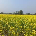 कार्यालय प्रमुख नहुँदा कर्णालीमा बजेट कार्यान्वयन भएन