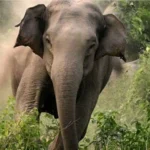 कर्णाली समृद्धिका लागि ५२ खर्ब लगानी लाग्ने प्रक्षेपण