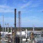 दुर्लभ कृष्णवक्ष रातोकण्ठ चरा कञ्चनपुरमा पहिलोपटक देखियो