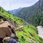 पुरैनीमा आइपुगे कलहाँस