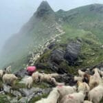 शिक्षकको तलब भत्ता मासिक रूपमा भुक्तानी गर्न पालिकाहरूलाई मन्त्रालयको अनुरोध