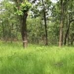 सुदुरपश्चिम र कर्णाली जोड्ने सडक स्तरोन्नती हुँदै, सात अर्ब लागत लाग्ने