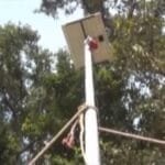 त्रिवेणीका किसान सुन्तला र अलैँचीखेतीमा आकर्षित