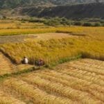 ‘मुसोम’ गुणस्तर सुनिश्चितता एवं प्रत्यायन प्रमाणित हुने कर्णाली प्रदेशकै पहिलो शैक्षिक संस्था