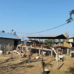 सबैको सहमति र समन्वयबाट संविधान संशोधन गर्नुपर्छः अध्यक्ष यादव