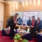 बाजुराको बिच्छयाँमा १४ करोड बढी लागतमा विद्युत निर्माण