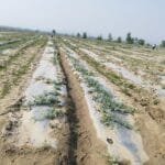 एक साताभित्र माग सम्बोधन नभएसरकारविरुद्ध उत्रने चेतावनी