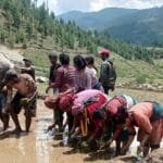 बाँकेमा यौन उत्तेजक अवैध औषधीसहित एक भारतीय नागरिक पक्राउ