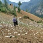 अटो चालक रणबहादुरको उपचारको क्रममा मृत्यु