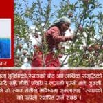 सोतीको ढुङ्गा काठमाडाैं को घर–आँगनसम्म !