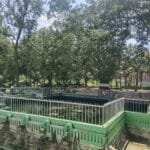 कोहलपुरमा अंग्रेजी शिक्षकका लागि तीन दिवसीय कार्यशाला सम्पन्न