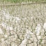 लुम्बिनी प्रदेशका मुख्यमन्त्री आचार्यद्वारा एक बर्षे उपलब्धि सार्वजनिक