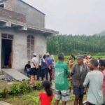 जुम्ली युवाको :लाेभलाग्दाे तरकारी खेती