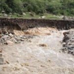 विच्छ्याको बाढीले बस्ती जोखिममा