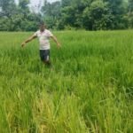 सम्पादकीय : जगदुल्ला निर्माणमा विलम्ब नहोस् !