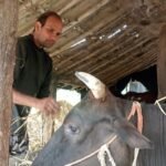 शिक्षाका लागि बाहिरियो एक खर्ब ३८ अर्ब