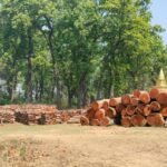 आँखामा चक्कु प्रहार गरी फरार पक्राउ