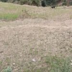 स्याकले मनायो सामाजिक रुपान्तरणका ३१ औँ बर्ष