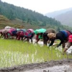सशस्त्र प्रहरीद्वारा ११ करोड बढी राजस्व सङ्कलन