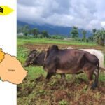 प्रधानमन्त्रीको भारत भ्रमणमा नेपालगञ्ज–दिल्ली उडानलाई एजेन्डा बनाउन माग, सर्वपक्षीय दबाब समूह सक्रिय