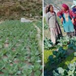 नेपालगञ्जमा ‘एनिमल एम्बुलेन्स’ सञ्चालन