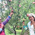 कर्णालीका अधिकांश नागरिक स्वास्थ्य बीमाको पहुँच बाहिरै