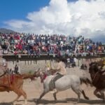 दसैंमा पनि दाङका किसानको केरा बिक्री नहुंदा ठुलो मर्का