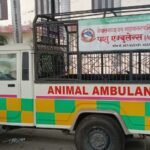 तरकारीखेतीबाट स्वरोजगार बन्दै जुम्लाका महिला