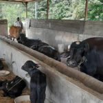 तीन तहका सरकारबीच सम्बन्ध सुदृढ हुन आवश्यक छ : मुख्यमन्त्री कँडेल