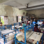 जङ्गली हात्तीले गाउँपसेपछि रातभर जाग्राम 